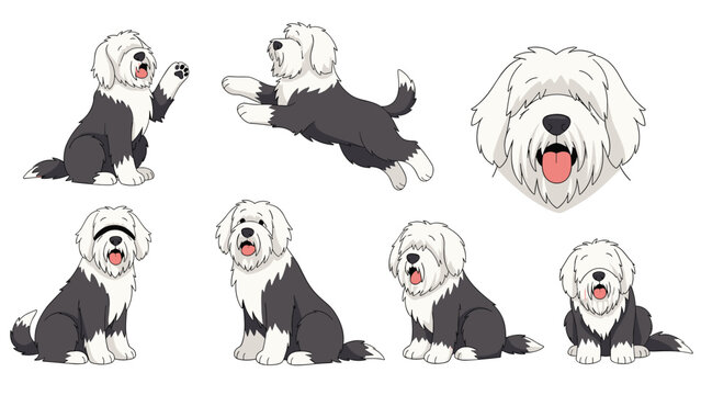 Compilation of old english sheepdog illustrations displaying the breed in various poses from sitting to a large head close up.