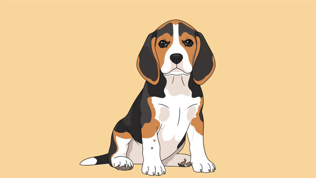 Portrait of a young beagle puppy sitting and looking directly at the camera with its characteristic floppy ears and tri-color fur coat.