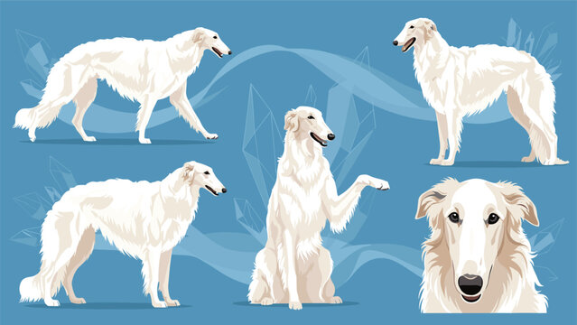 Diverse set of white borzoi dog illustrations showing the breed in multiple poses and a close-up face profile on a blue base.