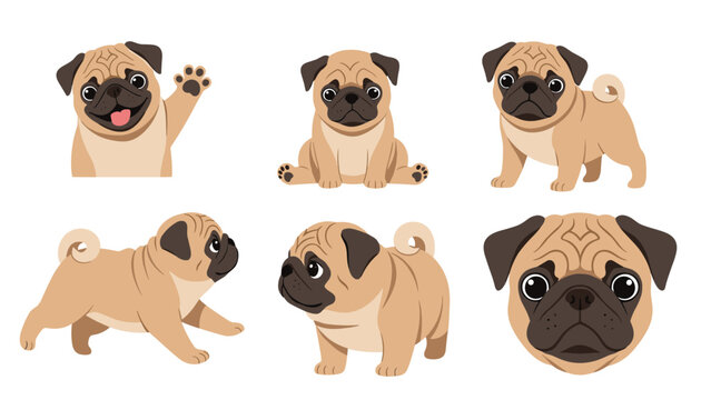 Collection of Pug dog illustrations featuring the breed in different poses like waving, sitting, standing, and running.