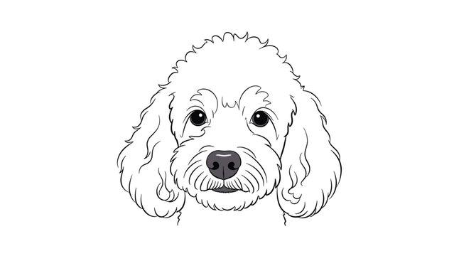 Close up line art drawing of a poodle or goldendoodle head with soft curly fur and friendly eyes on a white background.
