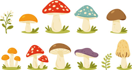 Cartoon mushrooms set. Forest fungi plants. Fall season food, fungus, natural decorations. Boletus, fly agaric, morels, chanterelles in childish style. Isolated flat graphic vector illustrations © Kseniya