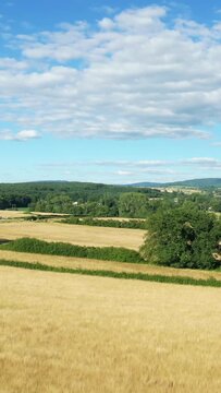 Sunny rural landscape with golden fields, green trees, and distant hills under a blue sky in the Morvan region of France.