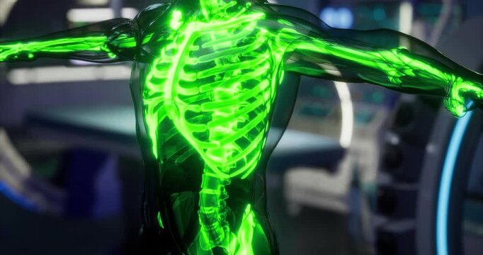 An illuminated skeleton reveals intricate structures within the human body. The green visual highlights anatomical features in a clinical environment, showcasing the complexity of bones.