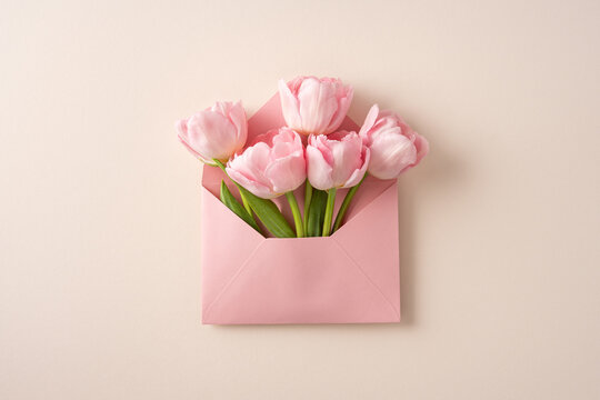 Pink tulips in an envelope for Mothersday gift and spring love celebration