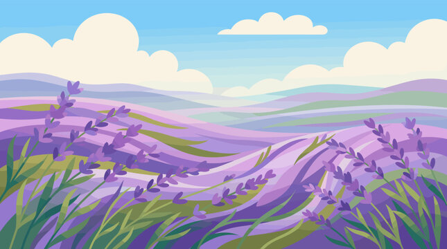 A peaceful vector illustration of a rolling lavender field. The serene landscape with purple flowers is perfect for wellness, aromatherapy, or travel backgrounds.