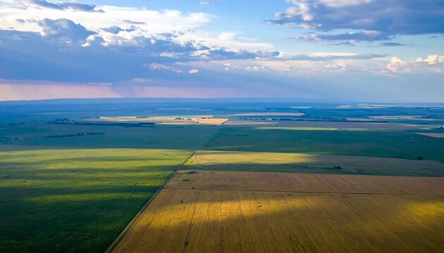 Aerial view of expansive golden farmland at sunrise with soft morning haze