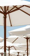 Fototapeta premium 青空の下に並ぶ白いビーチパラソル。木製支柱のリゾート用日除け。夏の休暇とビーチの風景