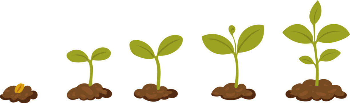 Set of green growing seedlings in the soil isolated on white. Vector flat cliparts. Spring, gardening, new life, business, save the planet concept