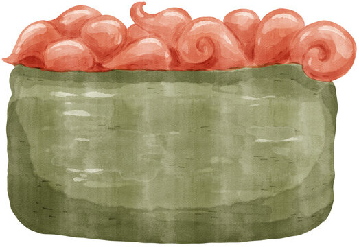 Chuka idako sushi watercolor