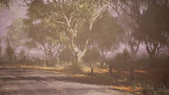 Sepia dusk woodland with muted tree silhouettes and soft grain, storyteller seated by path imagining journeys, nostalgic atmosphere, cool shadows and quiet