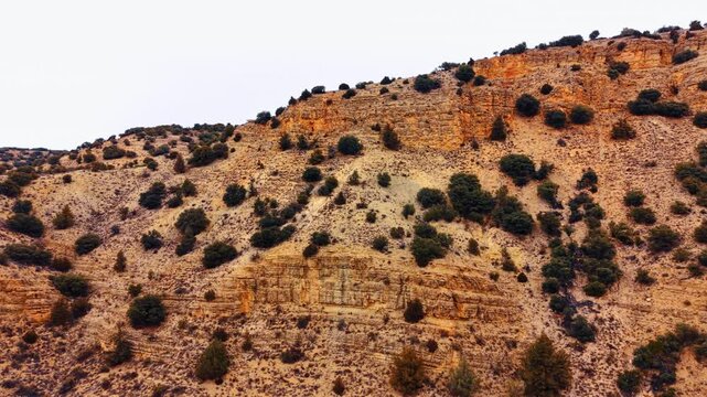 Arid rocky hillside with green shrubs and layered soil. Wide shot of a dry mountain slope featuring limestone layers and scattered green bushes under an overcast sky.