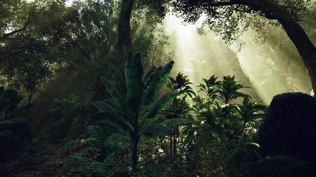 Sunlit grotto clearing with emerald ferns and towering rocks, narrow shaft of light carving path through mist, secluded mood suggesting exploration, untouched