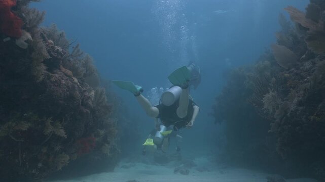 Scuba divers swimming through a coral reef canyon