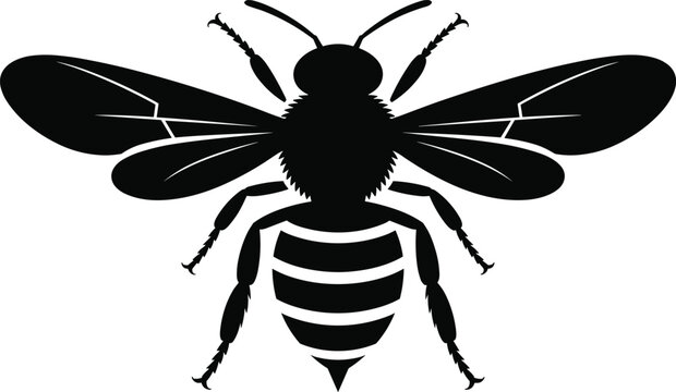 Black silhouettes of a large diverse group of people standing together in a row representing community teamwork and social unity