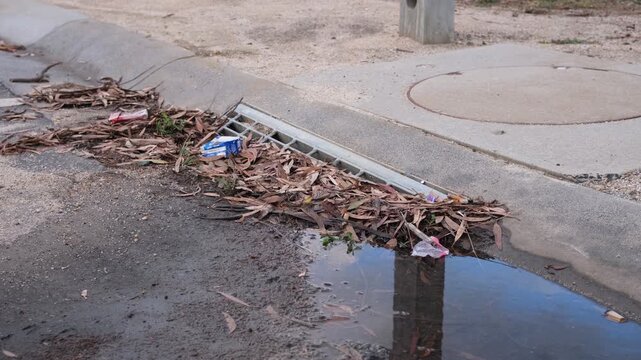 Blocked stormwater drain with leaves and litter causing water buildup on street in Australia. Urban maintenance issue, clogged drainage system from debris and waste. Flooding risk
