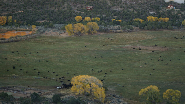 Rocky Mountains Nature Landscapes near Boulder, USA.