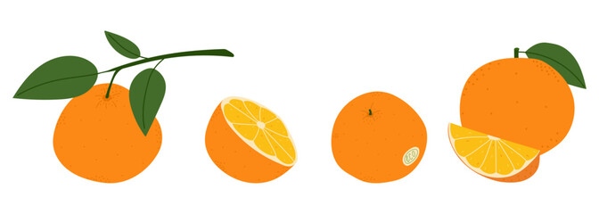 Obraz premium Collection of fresh organic oranges with fruit with ECO label, long branch, whole oranges and juicy slices for eco branding. Flat vector illustration, isolated on white background.
