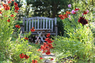 Seat and table in a garden surrounded by flower beds full of heleniums and dahlias in late summer © Francesca Leslie