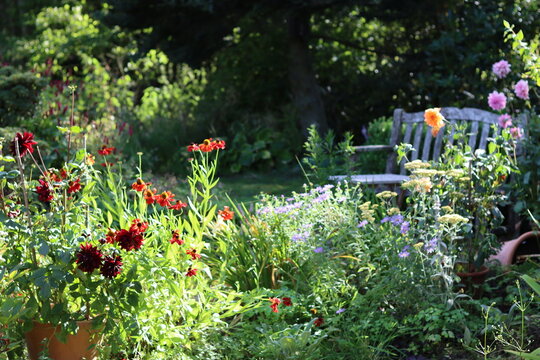 Seat and table in a garden surrounded by flower beds full of heleniums and dahlias in late summer