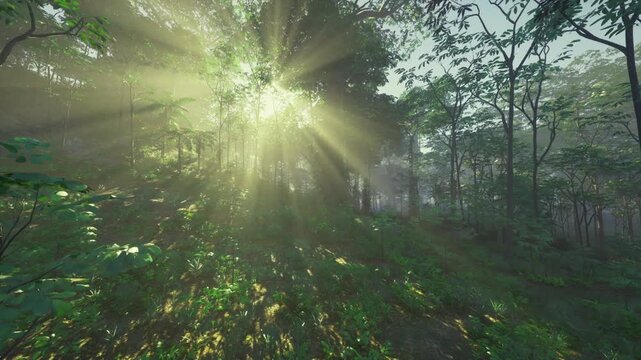 Shadowed rainforest interior in Indonesia, cool dim light under dense canopy, deep green tones with soft mist, mossy roots and textured bark, stillness