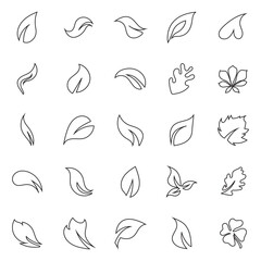 Fototapeta premium Leaf icon. Natural pictogram. Ecological gardening and organic farming symbol. representing natural concepts.