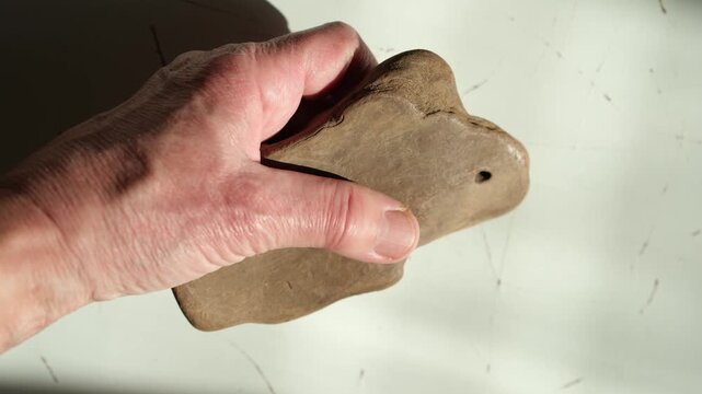 Sensory experience. Hag stone driftwood in woman's hand. Tactile interaction with natural, organic materials. Bright sunlight. Help from digital fatigue.