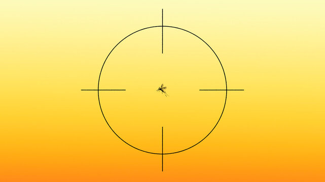 Mosquito in centre of crosshairs