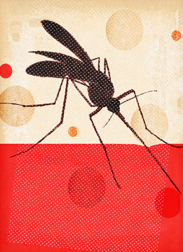 Close up of mosquito biting