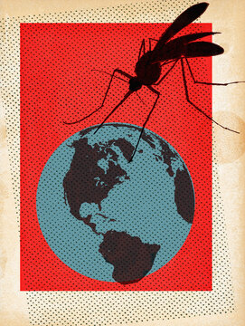 Mosquito on top of the globe