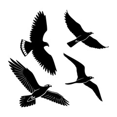 Fototapeta premium set of silhouettes of birds
