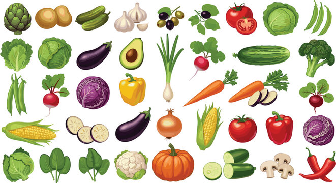 Organic vegetable vector collection. Realistic icons including pumpkin, cauliflower, artichoke, olives, tomatoes, and sliced vegetables for healthy food and harvest design.