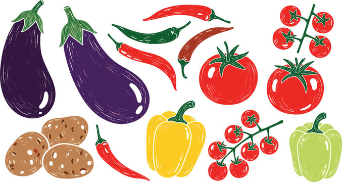 Organic vegetable vector collection. Textured hand drawn illustrations of eggplant, bell peppers, chili peppers, tomatoes on vine, and potatoes for culinary food design.
