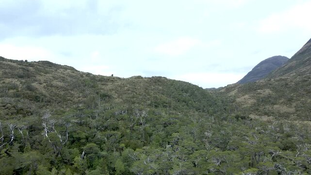 Calbuco chile patagonia river lake nature mountain trees clouds winter dusk morning drone