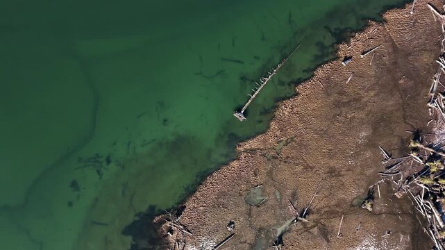 Sandbanks Along The Squamish River In British Columbia, Canada. Aerial Topdown Shot