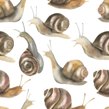 Seamless snail pattern white
