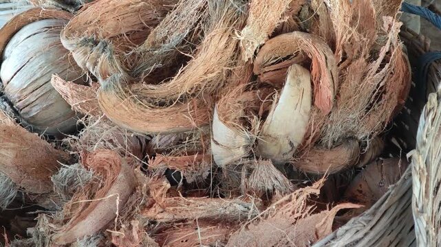 Coconut husks are used to make fertilizer.