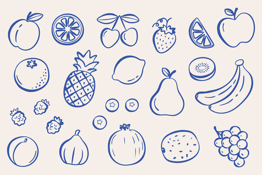 Naive hand drawn fruit set in doodle sketch style. Minimal line art collection with apple, banana, citrus, berries and tropical fruits. Modern playful illustration for packaging, menu, stickers and pa