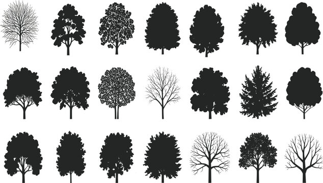 Silhouette illustration collection of twenty diverse tree shapes with unique branching patterns, foliage density, seasonal forest artwork, botanical diversity, natural design inspiration