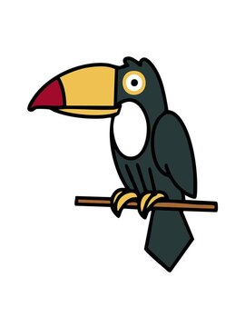 jiggle and pause animation of brazil toucan perched on branch