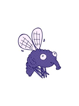 splitting motion animation of cartoon fly