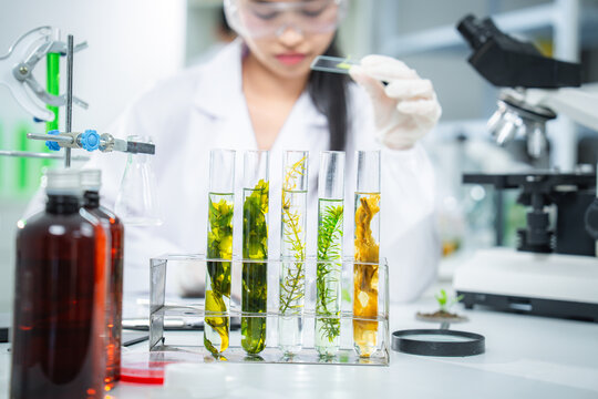 Scientist analyzing plant samples in modern laboratory, develop sustainable biotechnology solutions green energy, climate action, net zero innovation, supporting clean future and eco-friendly research