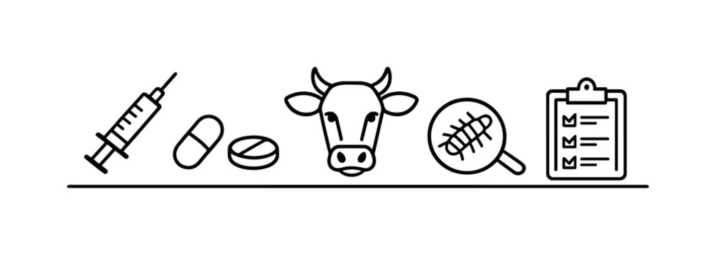 Veterinary deworming protocol and parasite control for livestock health maintenance and disease prevention in agricultural environments, syringe, pill tablet, cow head, parasite