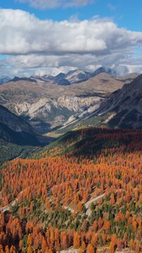 Aerial view of Col d'Izoard and hairpin turns of the famous road D902. Autumn and larch tree forest in Hautes-Alpes, Alps, France