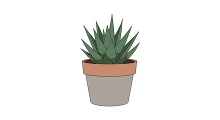Fototapeta premium A spiky green succulent plant is depicted in a two-toned terracotta and gray pot against a white background.