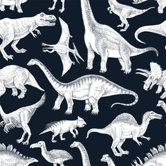 Dinosaurs hand drawn seamless pattern © Marina Gorskaya