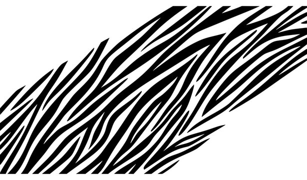 Abstract zebra stripe background vector with black and white animal print design isolated on white background