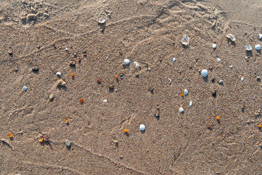 Amber stones on sea coast. Amber gems search on Baltic sea shore, fossilized tree resin crystals on sand