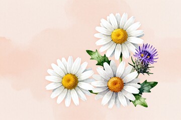 Obraz premium A watercolor painting of daisies and other flowers on a white background