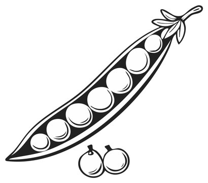 Illustration of a split open pea pod with peas and two individual peas
